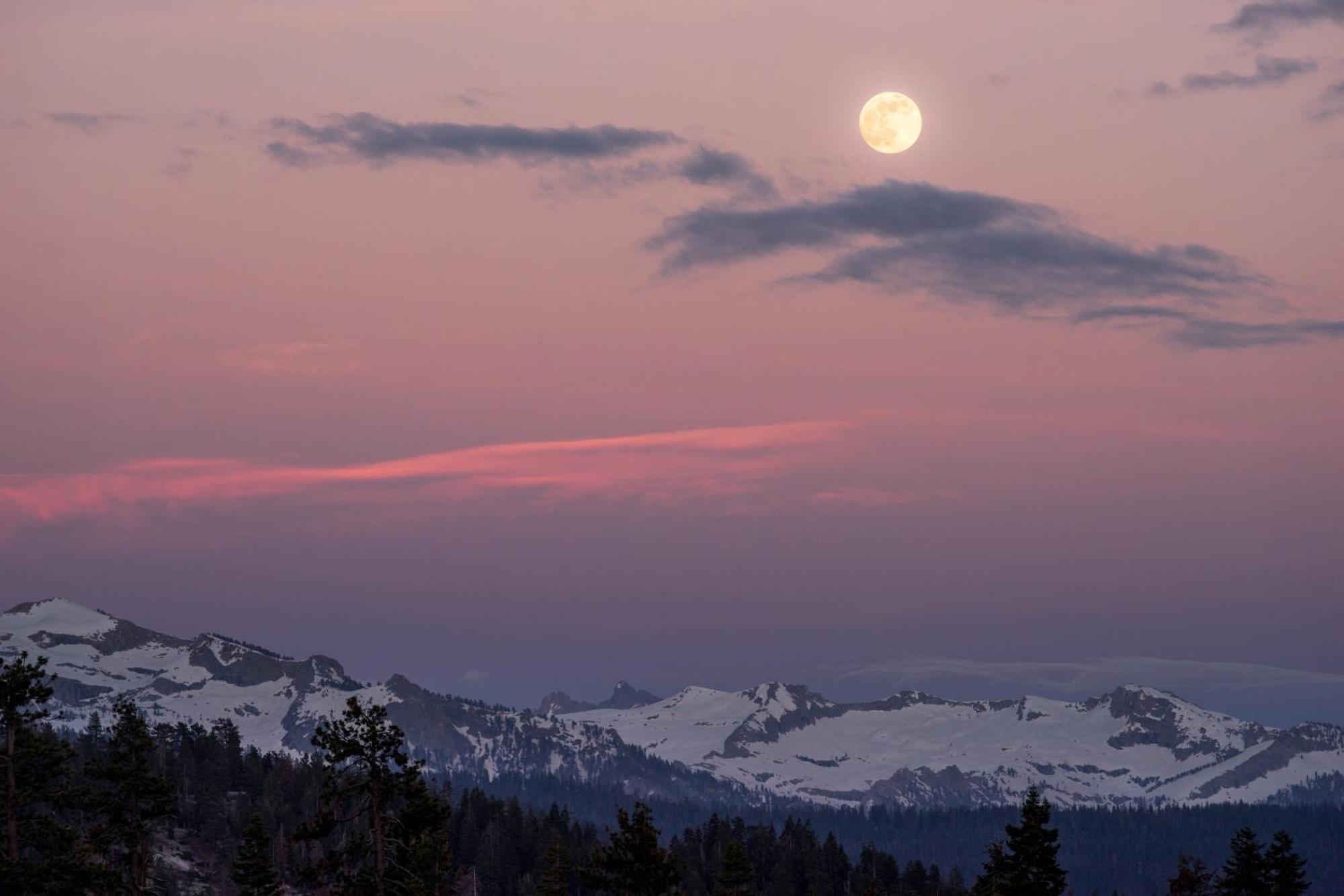 Montecito Sequoia Lodge Wilsonia Екстериор снимка