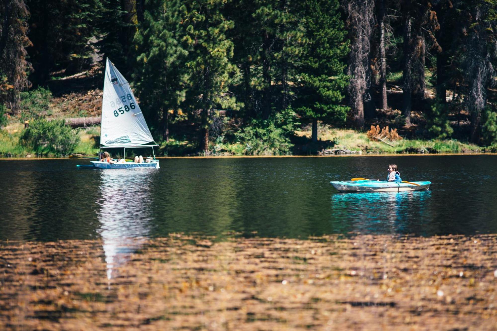 Montecito Sequoia Lodge Wilsonia Екстериор снимка