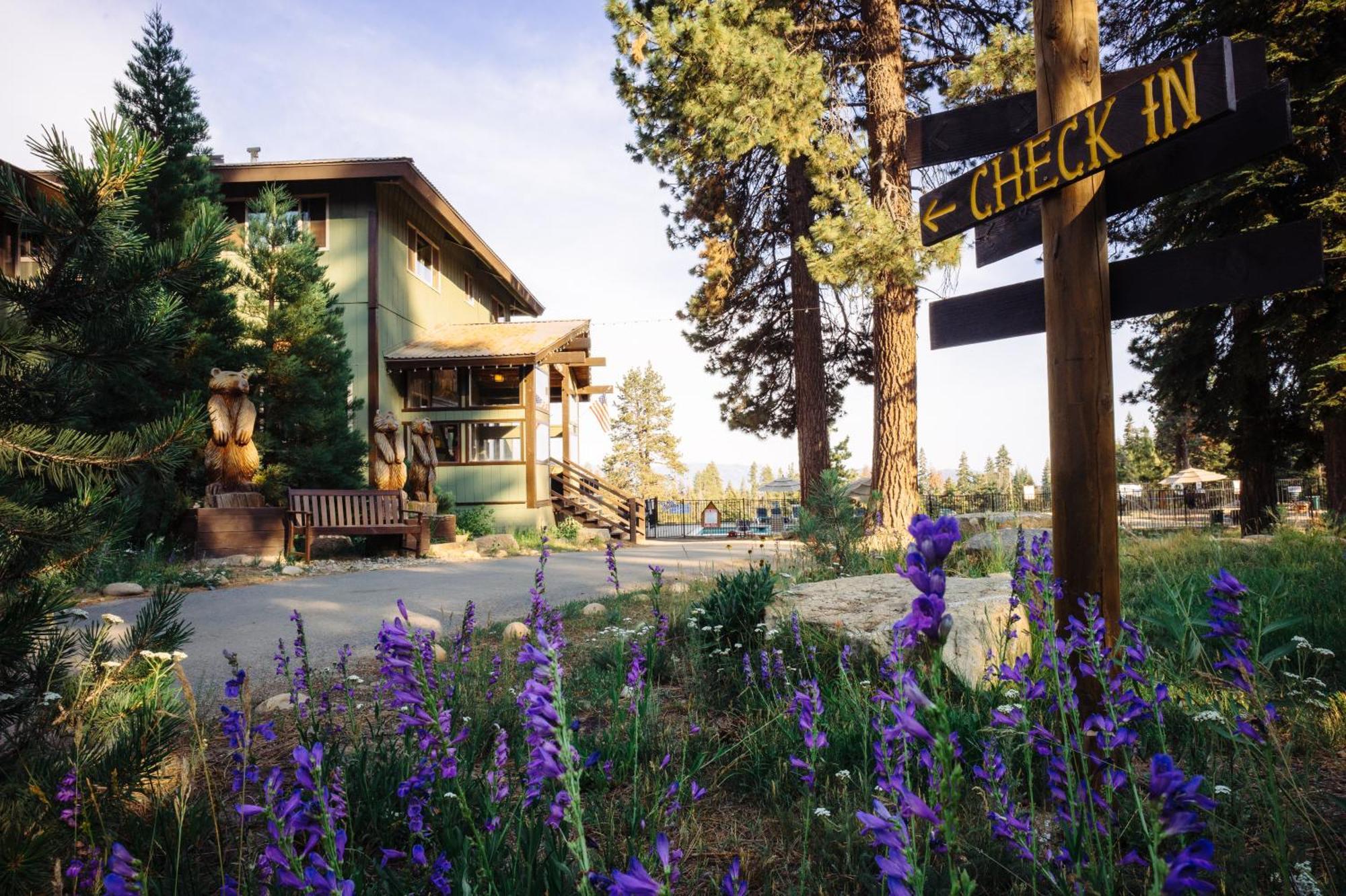 Montecito Sequoia Lodge Wilsonia Екстериор снимка