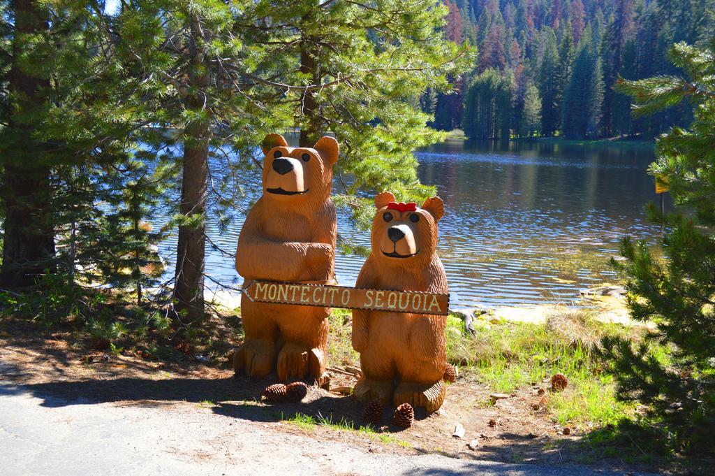Montecito Sequoia Lodge Wilsonia Екстериор снимка